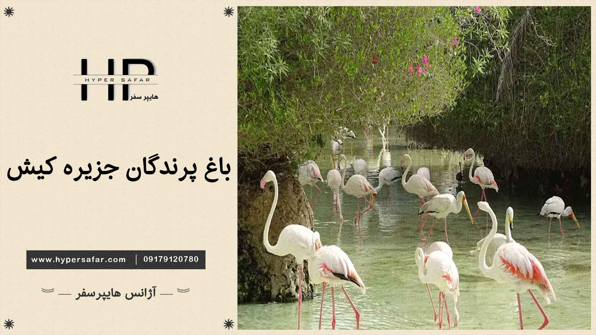 عکس مطلب هایپرسفر